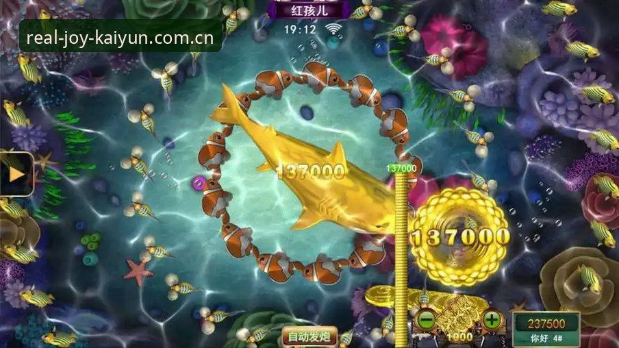 AG真人平台最新版本揭秘：KAIYUN v2.0.5背后的安全娱乐升级真相